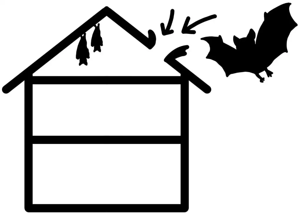 コウモリが家に棲みついていると感じたら？ 巣になりやすい場所の見つけ方と駆除する際の注意点を解説！