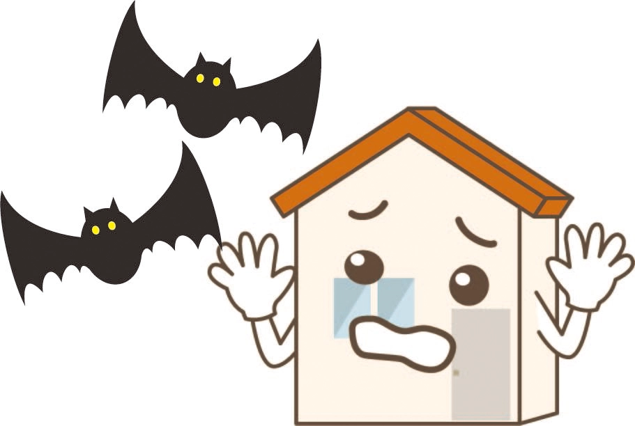 はじめに：住宅に棲みつくコウモリを駆除する必要性の理由とは？